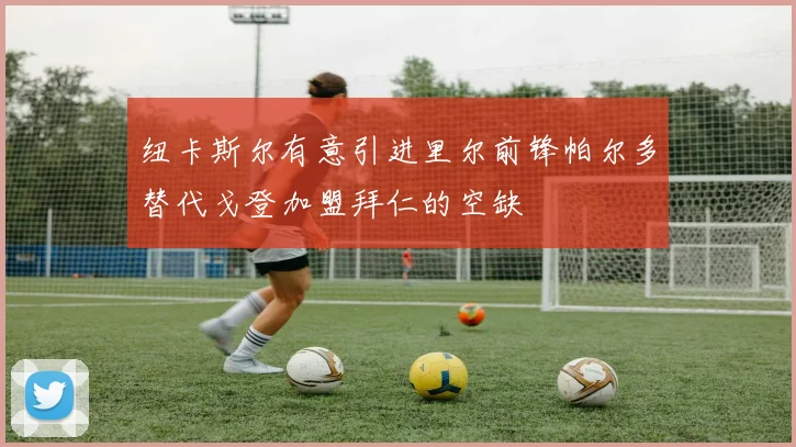 纽卡斯尔有意引进里尔前锋帕尔多替代戈登加盟拜仁的空缺